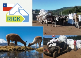 RIGK: Projekt für Agrar-Kunststoffrecycling in Chile