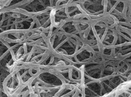 Ocsial: Erweiterte Produktion von Kohlenstoff-Nanoröhrchen