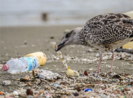 Mikroplastik: PlasticsEurope unterstützt EU-Projekt „Blue Lakes