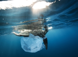 Marine Litter: Skandinavische Minister fordern globales Abkommen