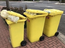 Verpackungsrecycling: Duale Systeme fordern ökologische Neuordnung