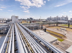 Das BASF-Werk in Schwarzheide (Foto: BASF)