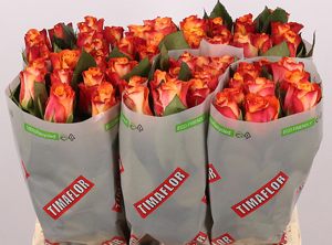 Im Rahmen der Kreislaufwirtschaft sollen auch die Umverpackungen für Schnittblumen nachhaltiger werden (Foto: Paardekooper)