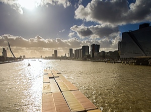 Der Sonne entgegen: In Rotterdam sollen künftig noch mehr Container umgeschlagen werden (Foto: Pexels, Skitterphoto)