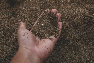 Kontaminiert: Auch im Erdreich lagert sich die Ewigkeitschemikalie ab (Foto: Pexels, Muffin Creatives)